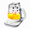 Picture of Smart Health and Wellness Pot
